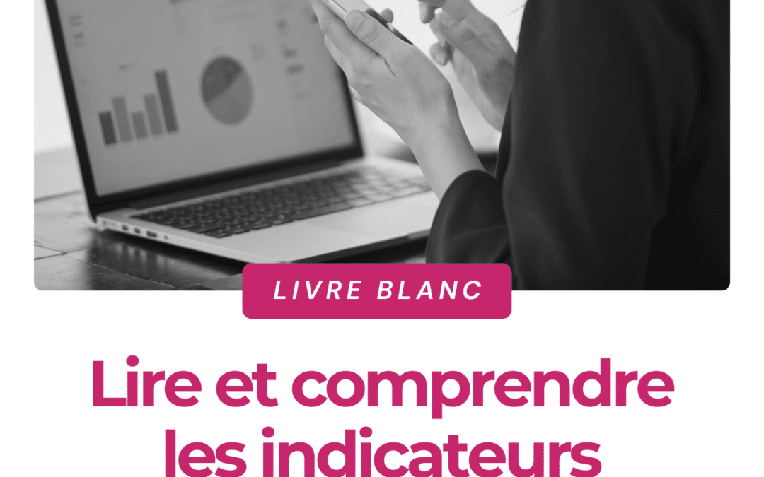 LIVRE BLANC | Lire et comprendre les indicateurs digitaux (sans devenir Data Analyst)